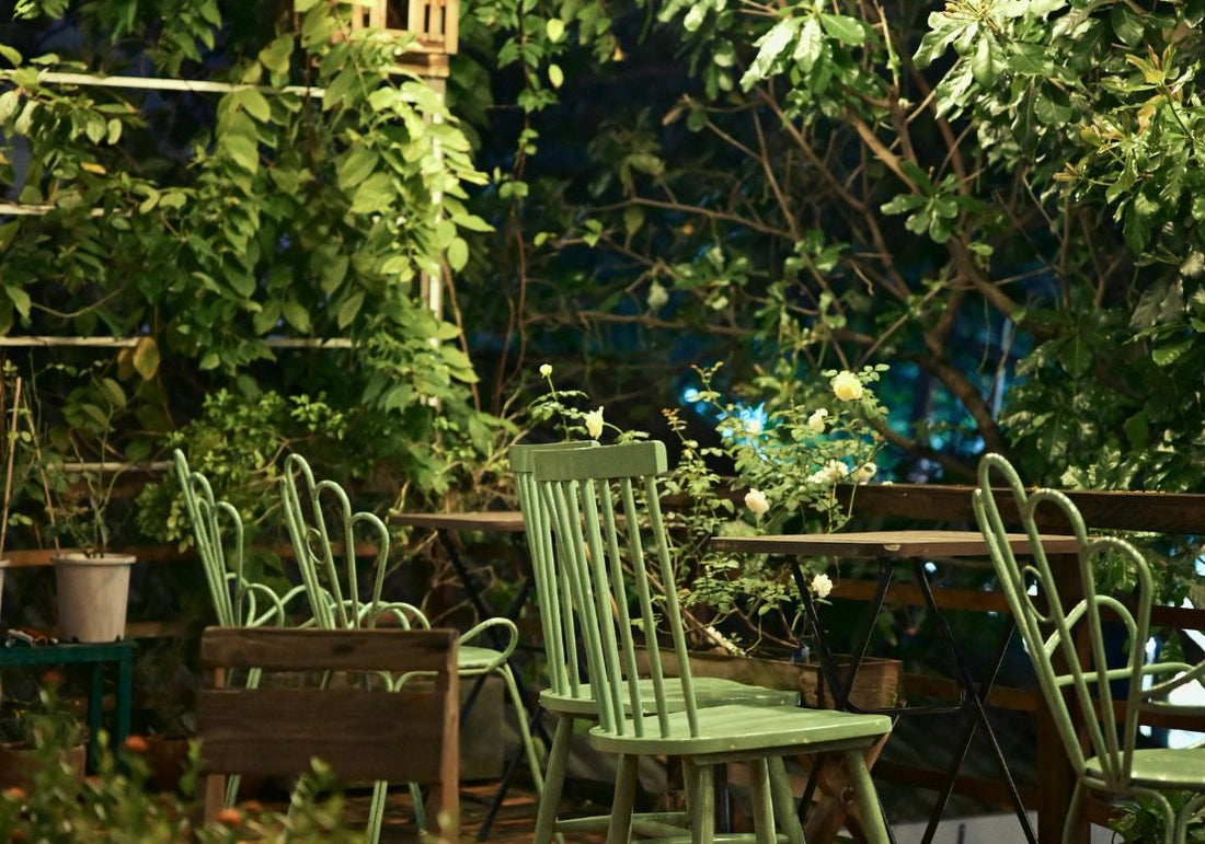 Éclairage nocturne : quel effet sur les plantes du jardin ?