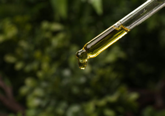 La composition d'un extrait d'algue : alginates, mannitol, oligo-éléments