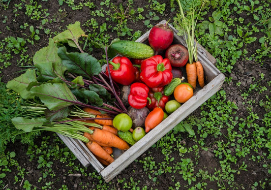 Comment utiliser un extrait d'algue au potager