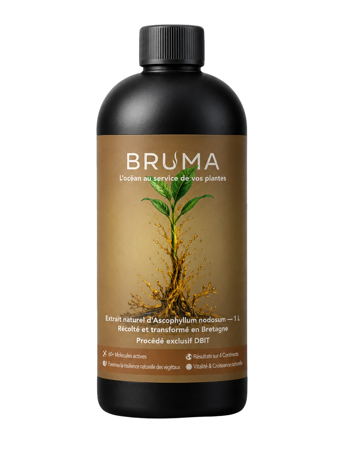 Flacon BRUMA 1L, packshot