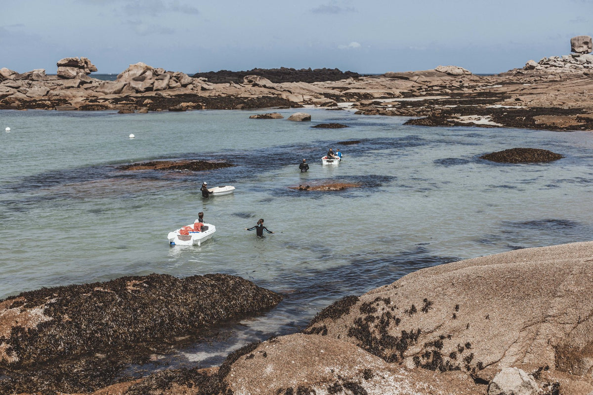 Estran breton à marée basse