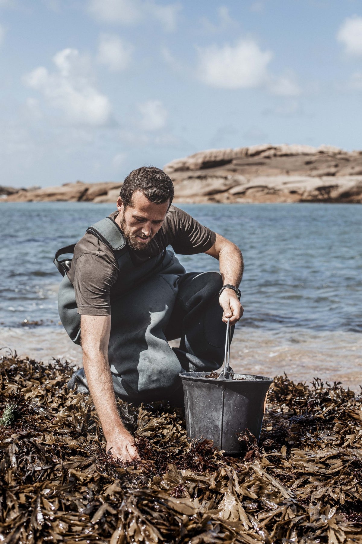 Récolteur d'algues avec son seau sur le littoral